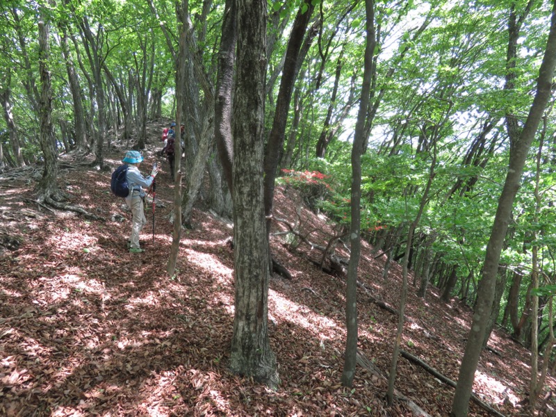 武川岳、二子山