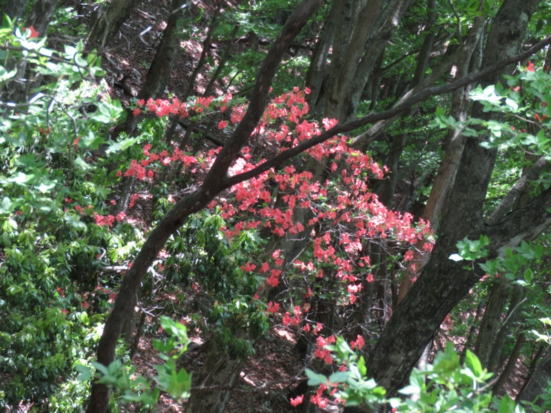 武川岳、二子山