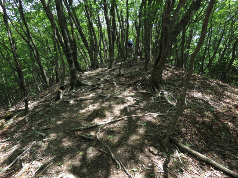 武川岳、二子山