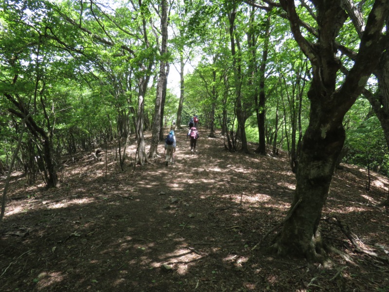 武川岳、二子山