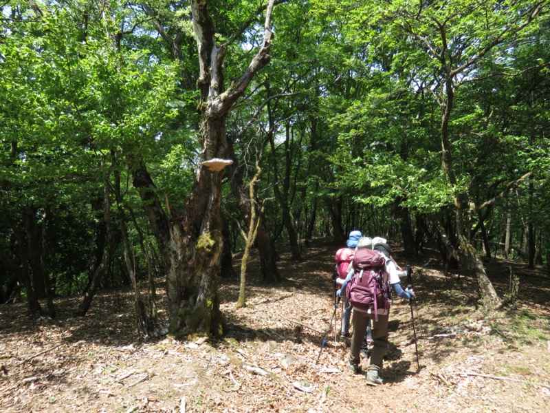 武川岳、二子山