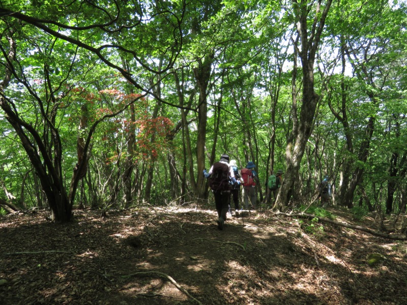 武川岳、二子山