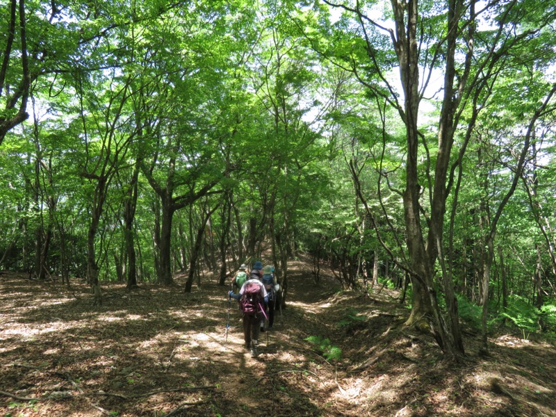 武川岳、二子山