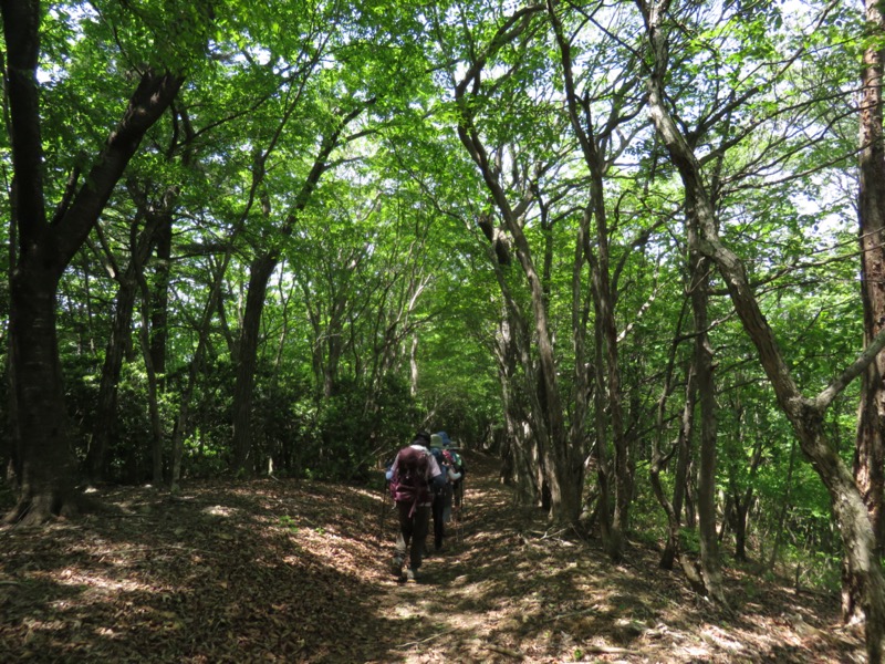 武川岳、二子山