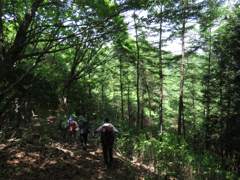 武川岳、二子山