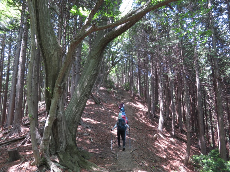 武川岳、二子山