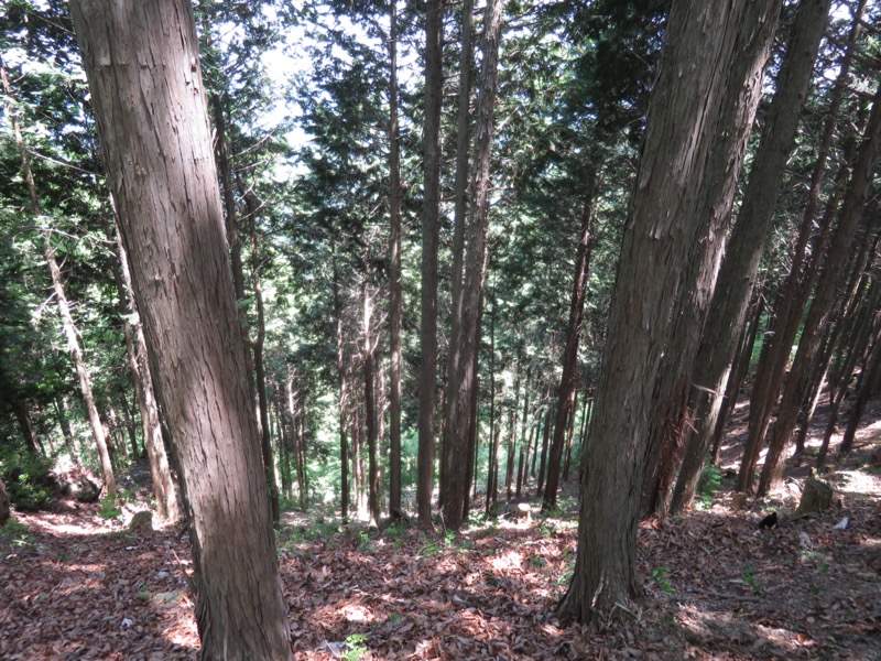 武川岳、二子山