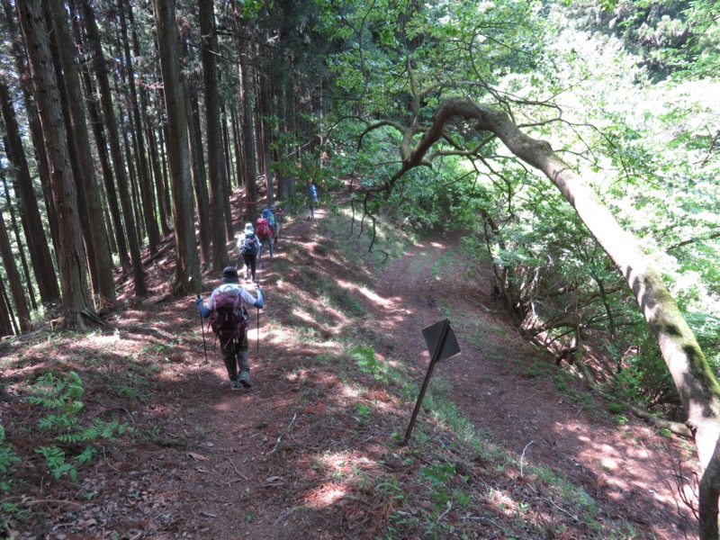 武川岳、二子山