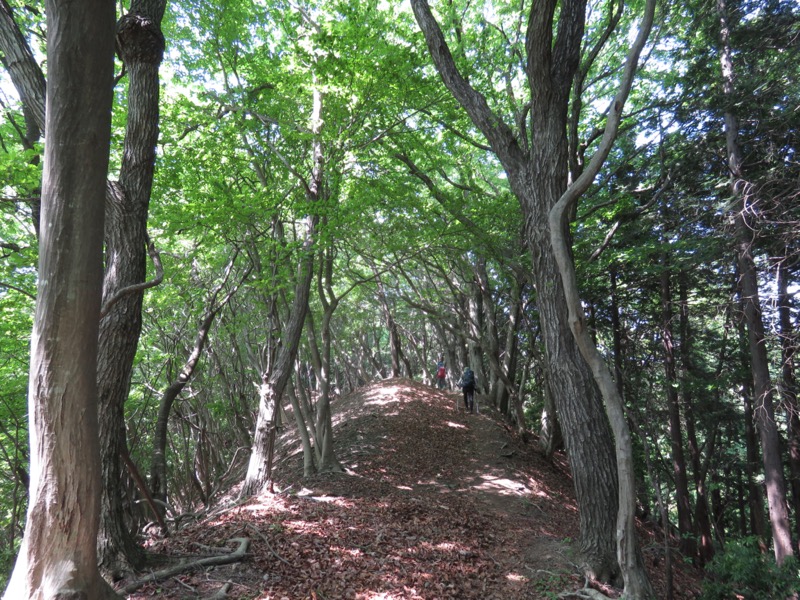 武川岳、二子山