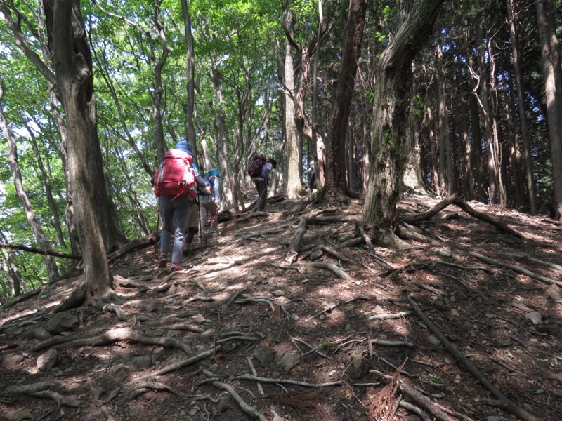 武川岳、二子山