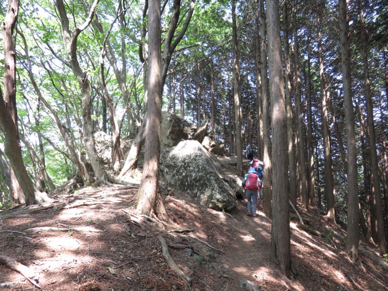 武川岳、二子山