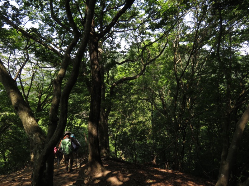 武川岳、二子山