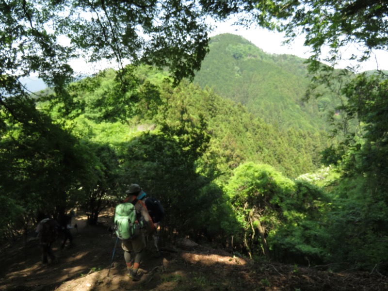 武川岳、二子山