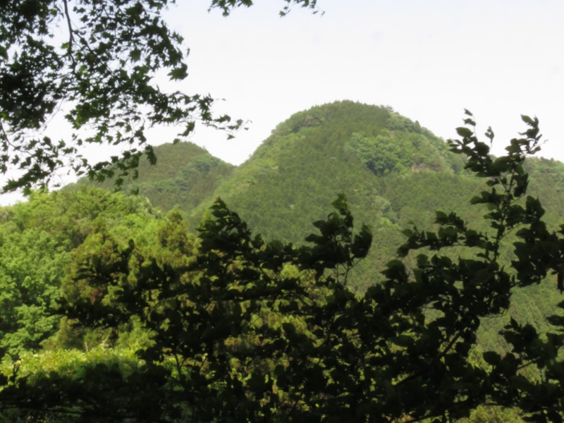 武川岳、二子山