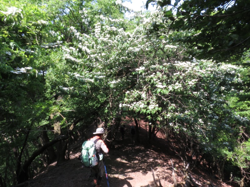 武川岳、二子山