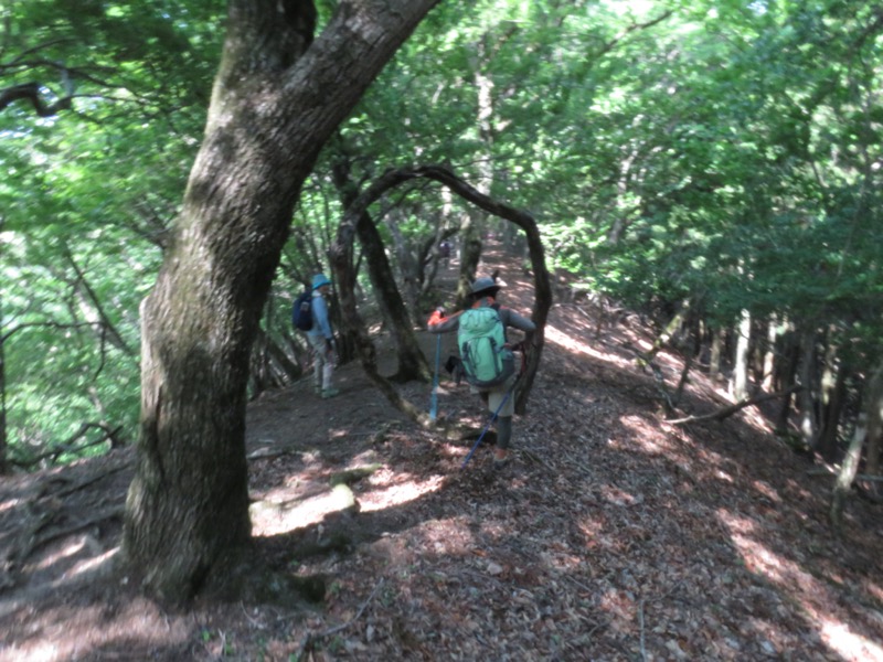 武川岳、二子山