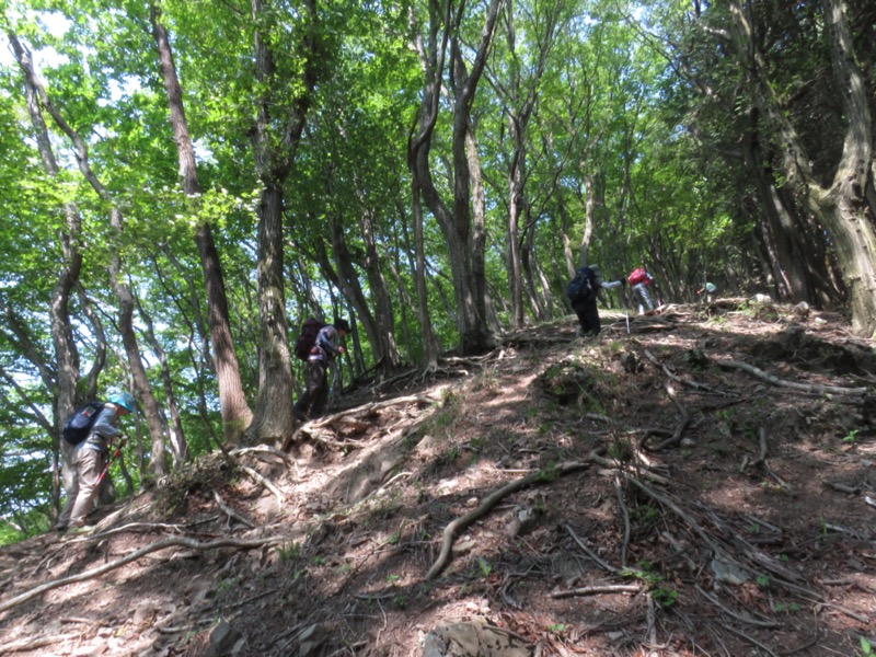 武川岳、二子山