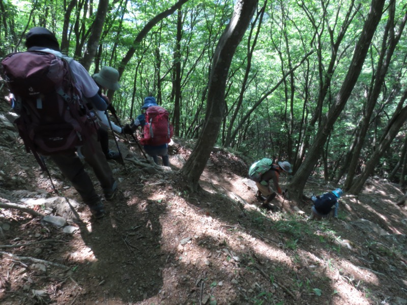 武川岳、二子山