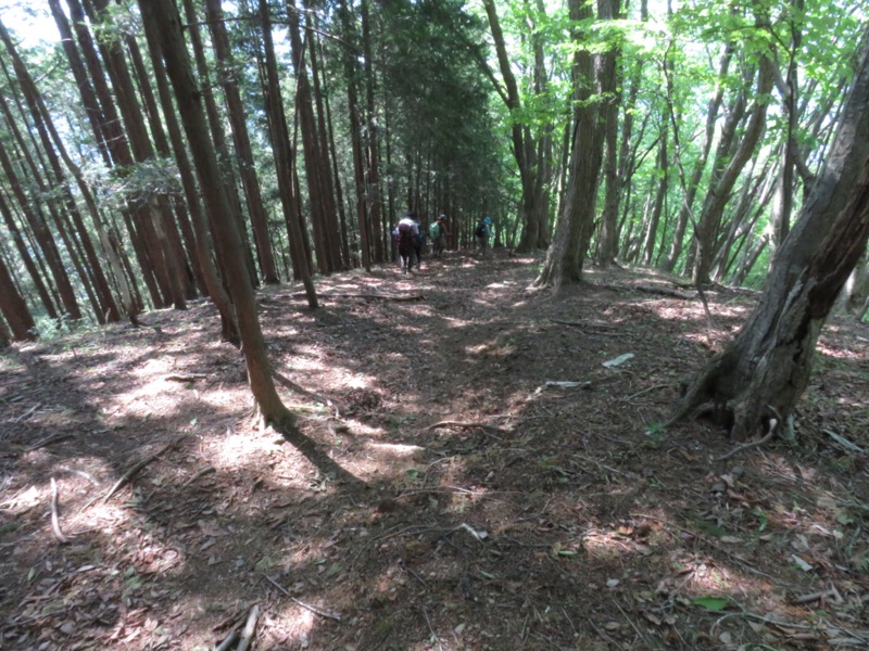 武川岳、二子山