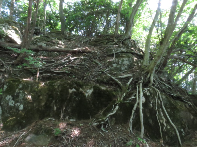 武川岳、二子山