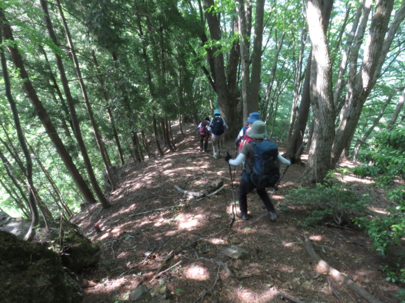 武川岳、二子山