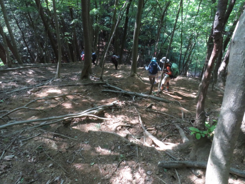 武川岳、二子山