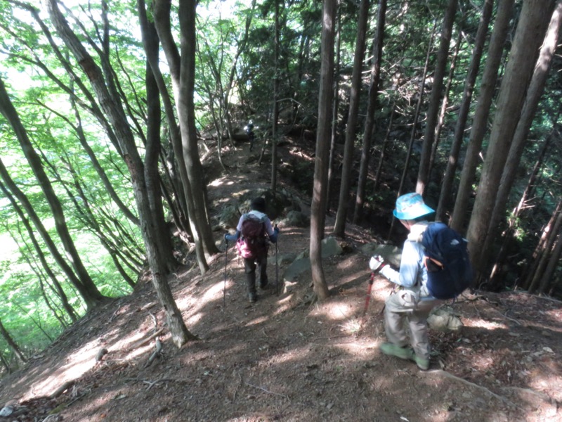 武川岳、二子山