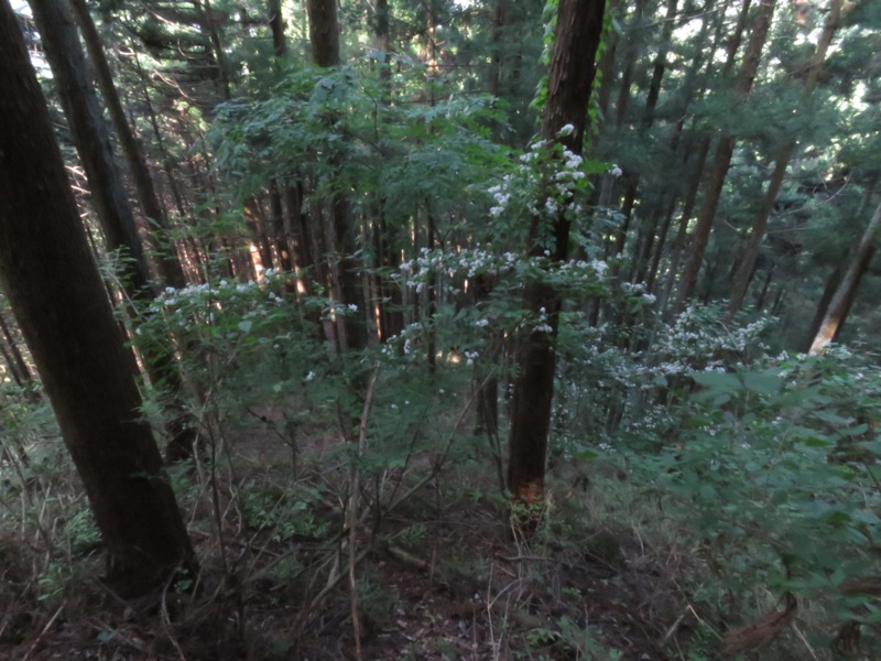 武川岳、二子山