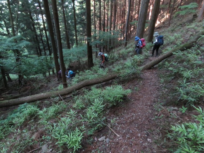 武川岳、二子山