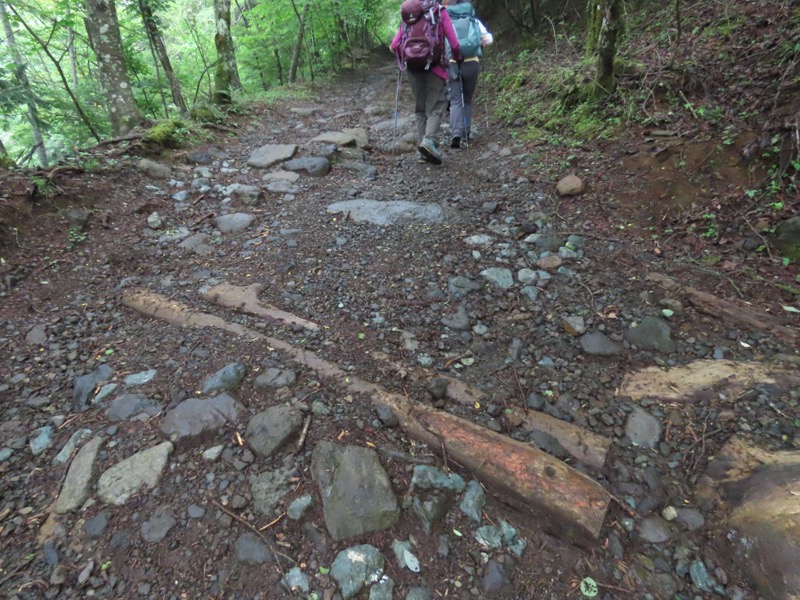 三ツ峠山〜清八山〜天下茶屋