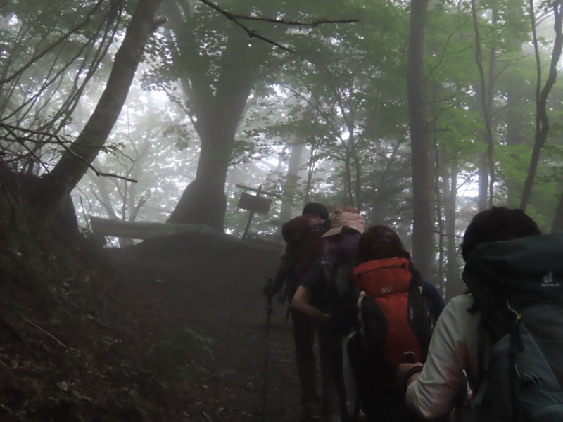 三ツ峠山〜清八山〜天下茶屋