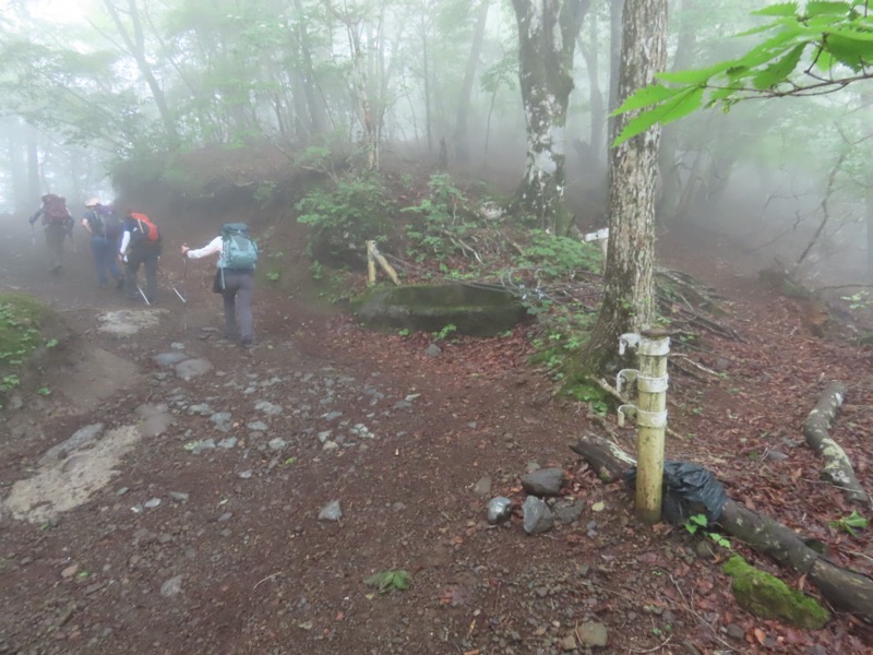 三ツ峠山〜清八山〜天下茶屋