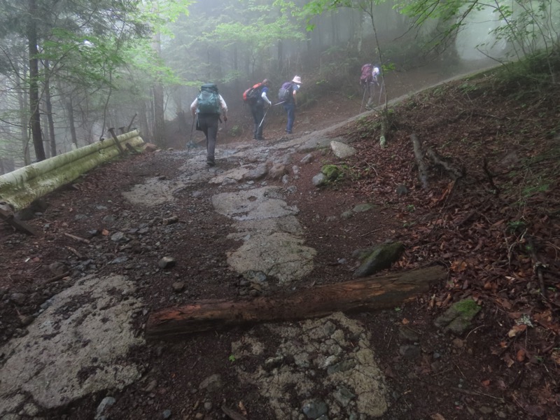 三ツ峠山〜清八山〜天下茶屋