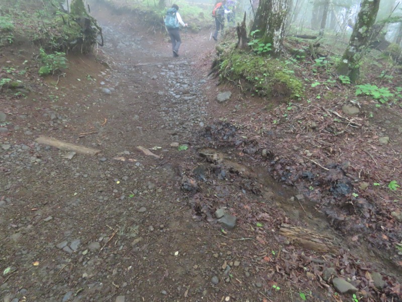 三ツ峠山〜清八山〜天下茶屋