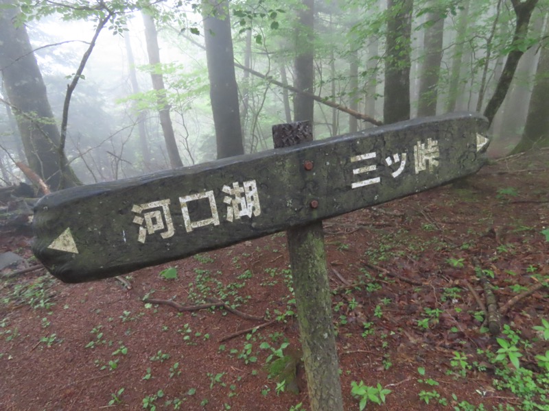 三ツ峠山〜清八山〜天下茶屋