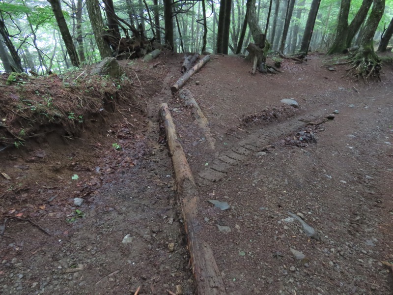 三ツ峠山〜清八山〜天下茶屋