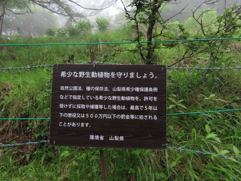 三ツ峠山〜清八山〜天下茶屋