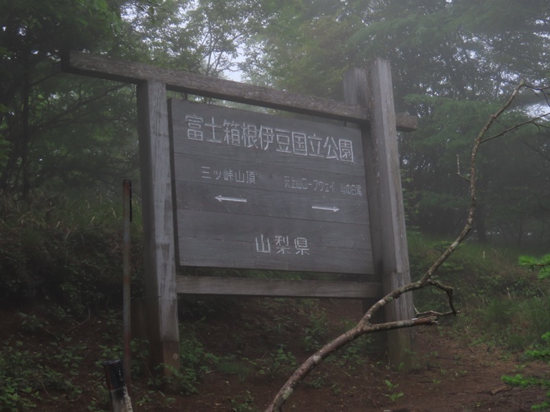 三ツ峠山〜清八山〜天下茶屋