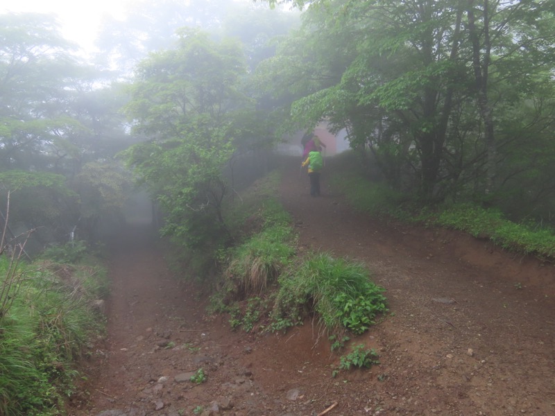 三ツ峠山〜清八山〜天下茶屋