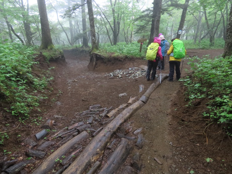 三ツ峠山〜清八山〜天下茶屋