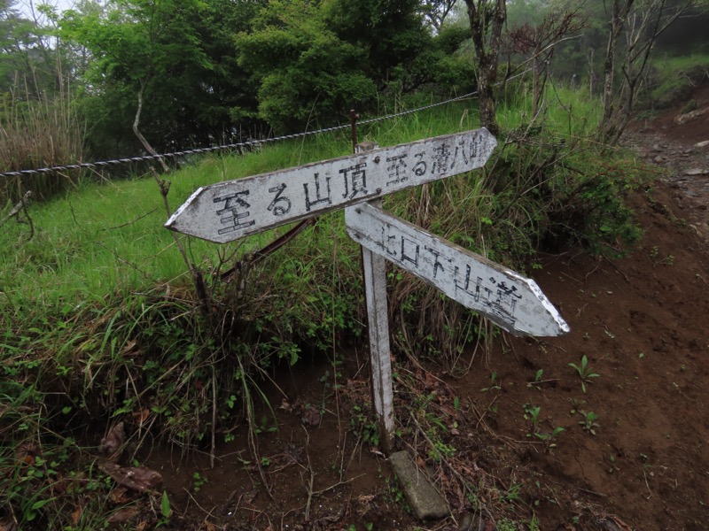 三ツ峠山〜清八山〜天下茶屋