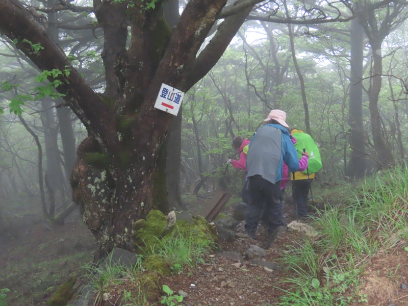 三ツ峠山〜清八山〜天下茶屋