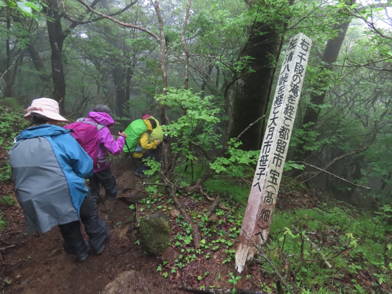 三ツ峠山〜清八山〜天下茶屋