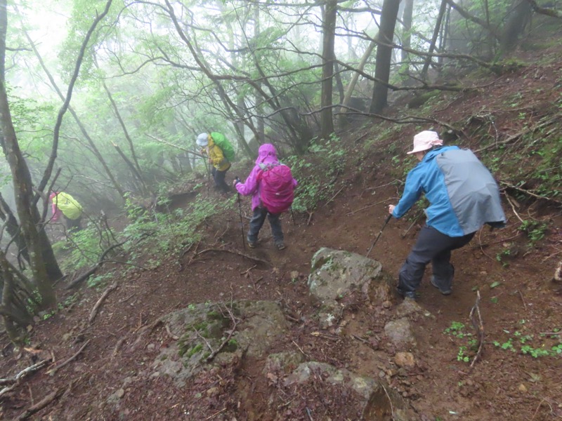 三ツ峠山〜清八山〜天下茶屋