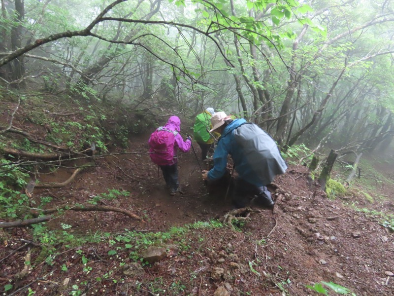 三ツ峠山〜清八山〜天下茶屋