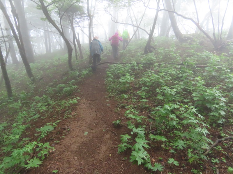 三ツ峠山〜清八山〜天下茶屋