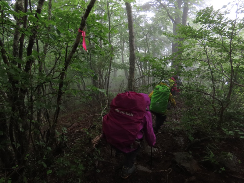 三ツ峠山〜清八山〜天下茶屋