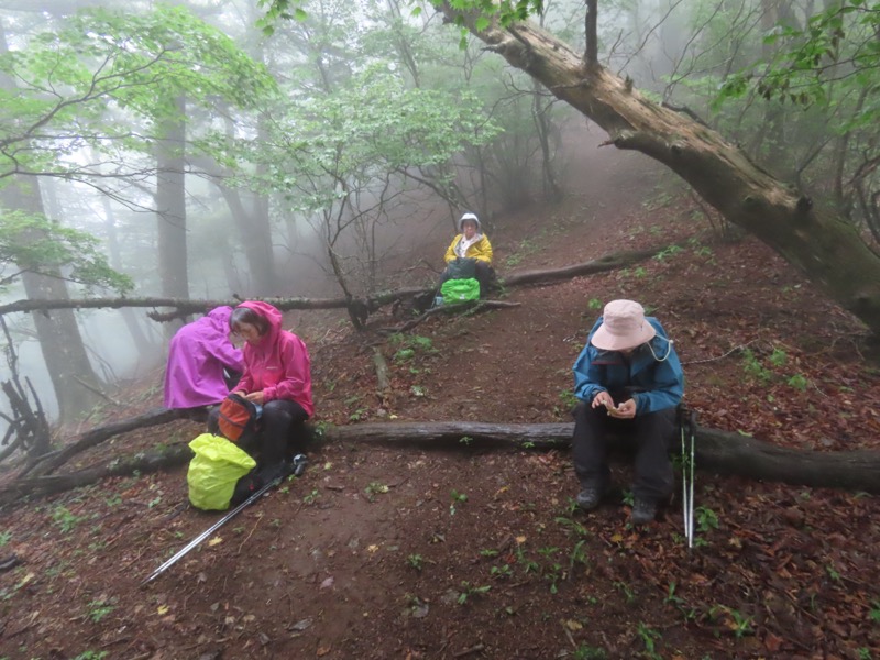 三ツ峠山〜清八山〜天下茶屋