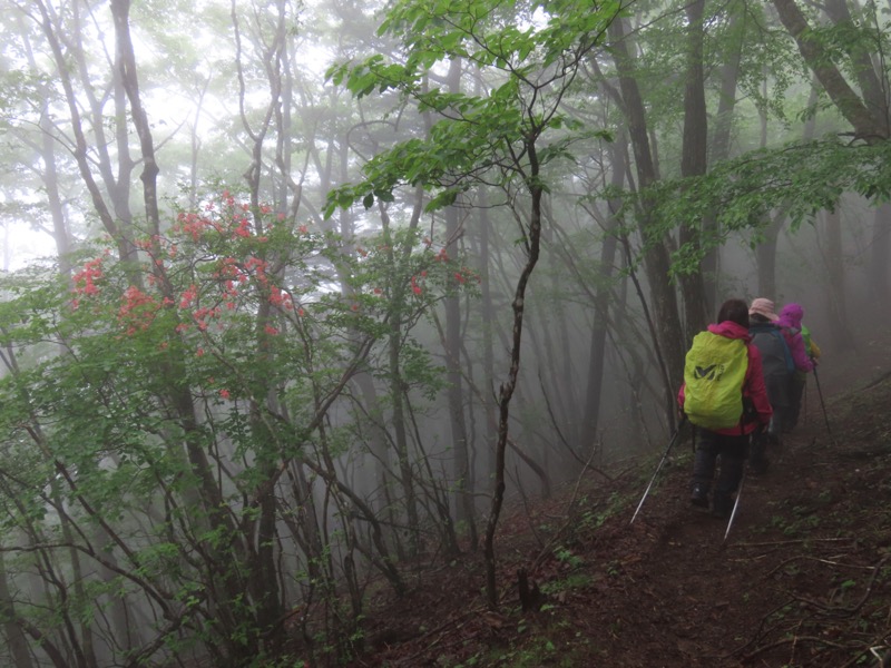 三ツ峠山〜清八山〜天下茶屋