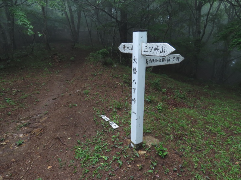 三ツ峠山〜清八山〜天下茶屋